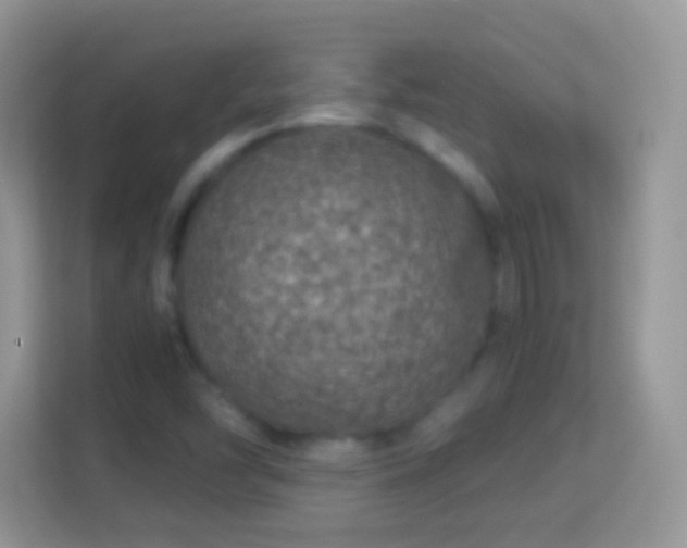 X0000113991454200910091328