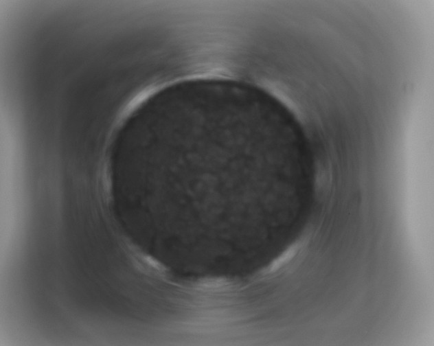 X0000113991455200910091328