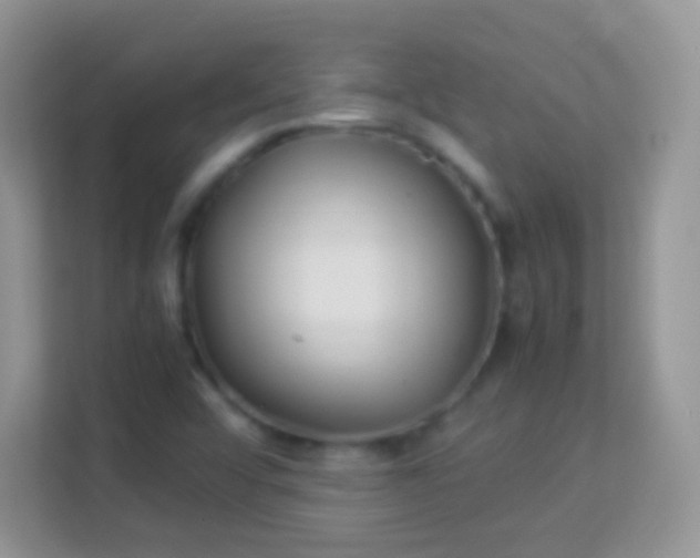 X0000113991456200910091328