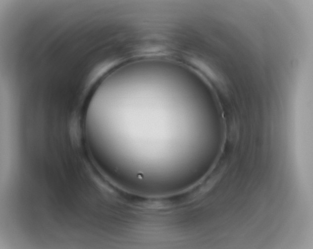 X0000113991458200910091328