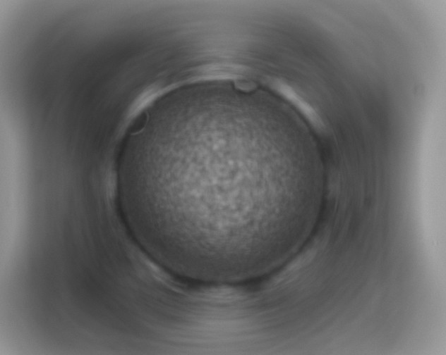 X0000113991459200910091328