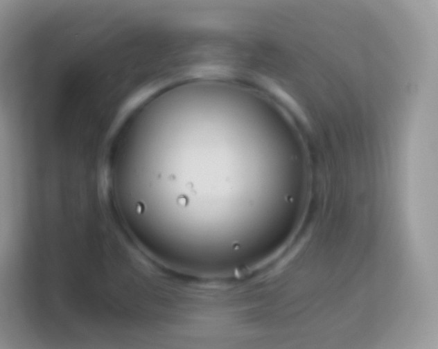 X0000113991461200910091328