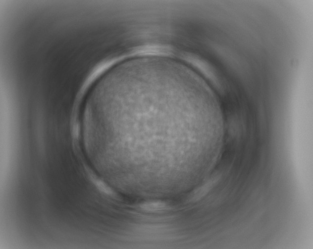 X0000113991462200910091328