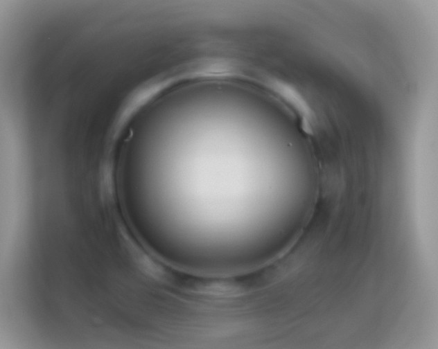 X0000113991464200910091328