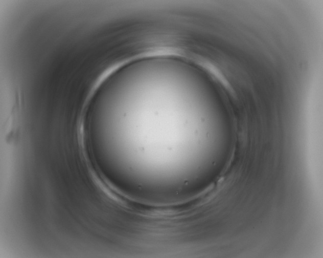 X0000113991468200910091328