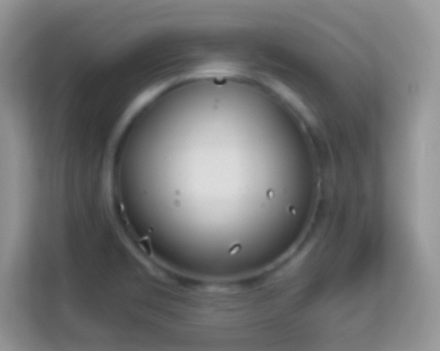 X0000113991469200910091328