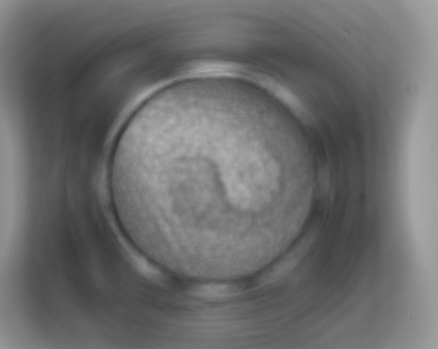 X0000113991470200910091328