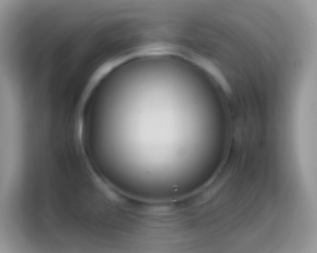 X0000113991472200910091328