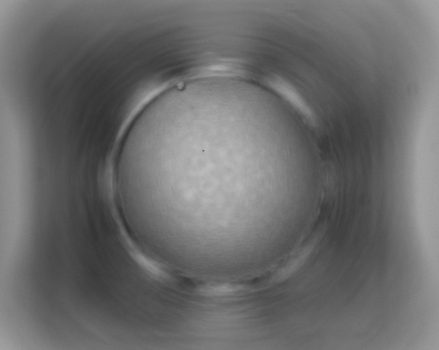 X0000113991474200910091328