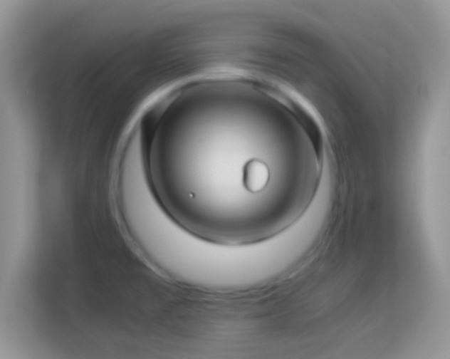 X0000113991477200910091328