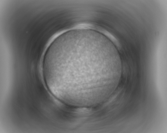 X0000113991478200910091328