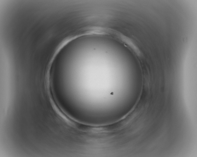 X0000113991479200910091328