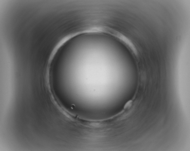 X0000113991480200910091328