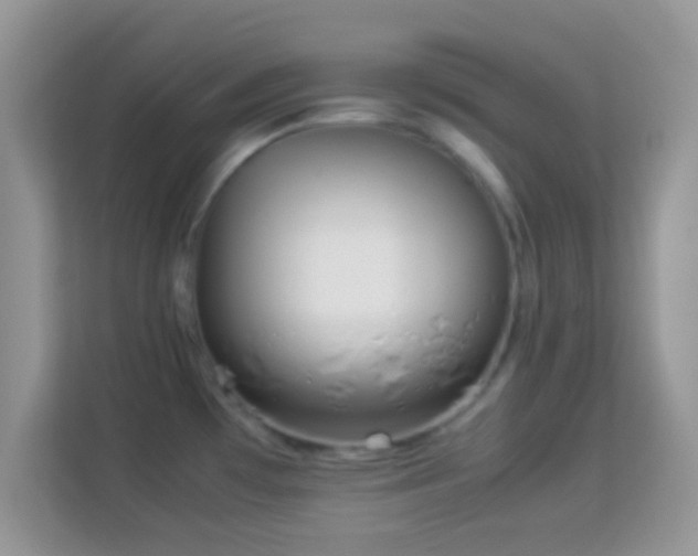 X0000113991481200910091328