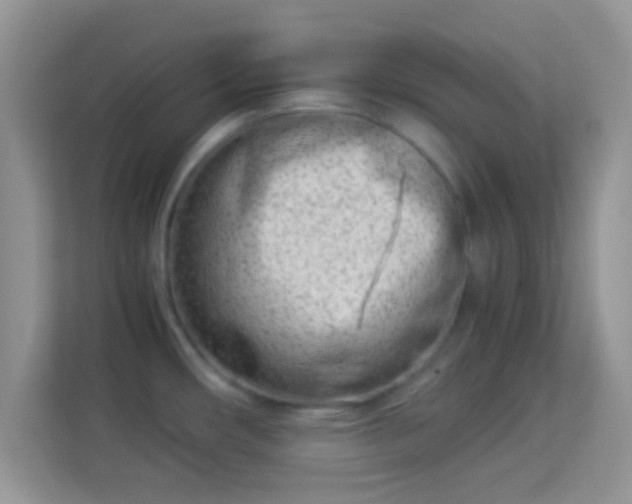 X0000113991482200910091328