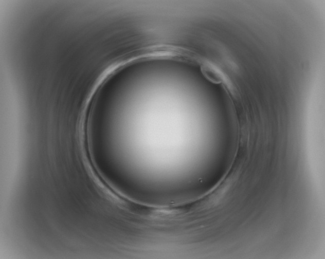 X0000113991483200910091328