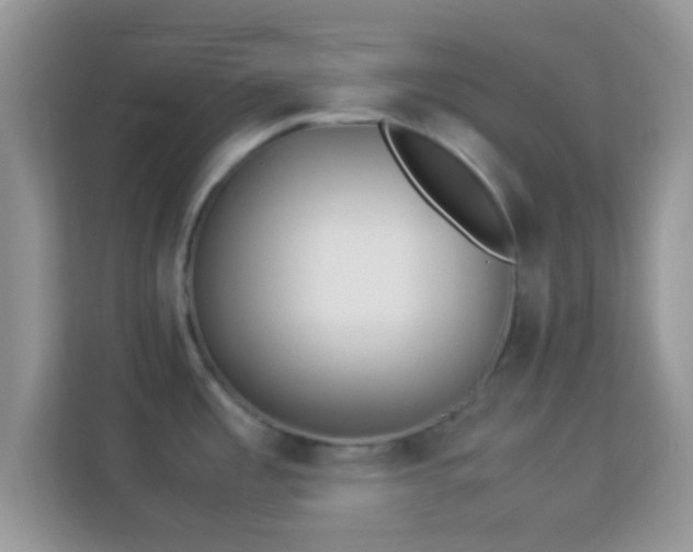 X0000113991485200910091328