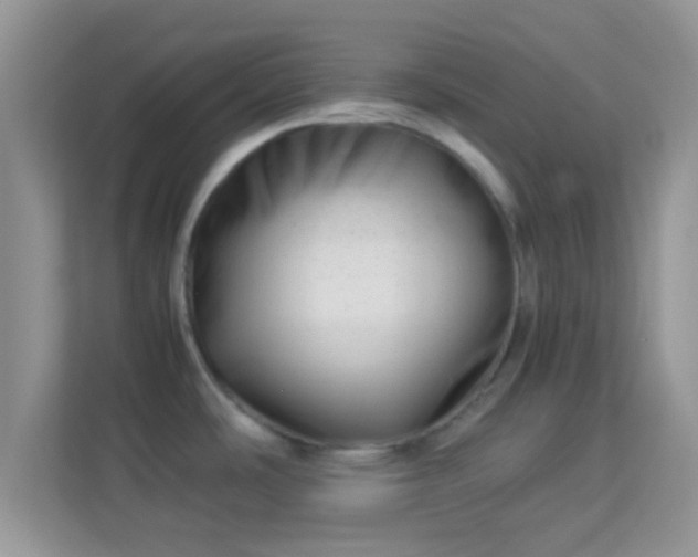 X0000113991486200910091328