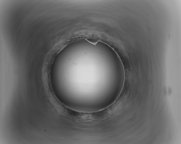 X0000113991489200910091327