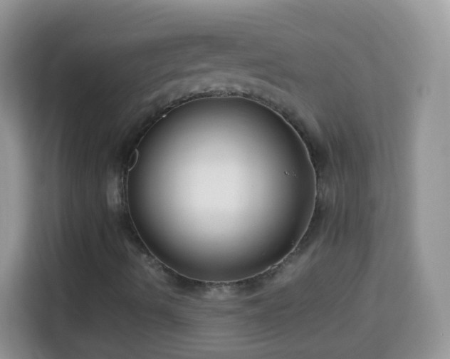 X0000113991490200910091327