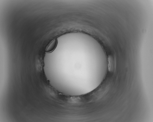 X0000113991491200910091327