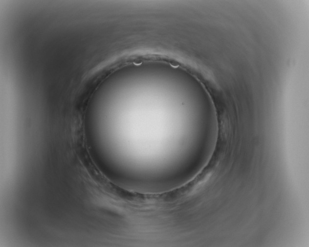 X0000113991494200910091327