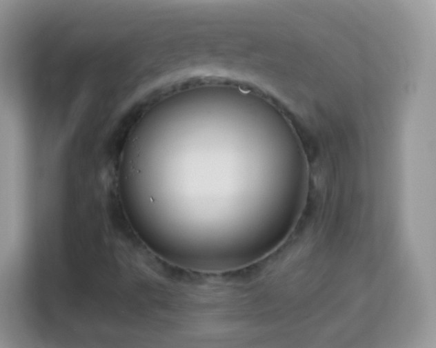 X0000113991495200910091327