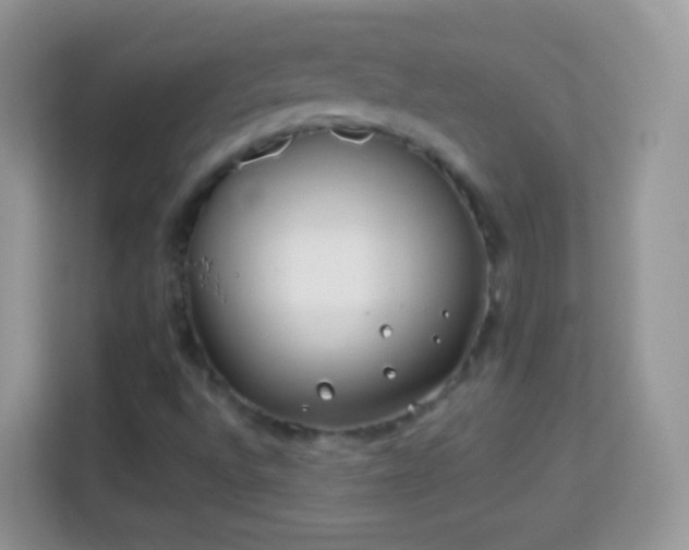 X0000113991496200910091327