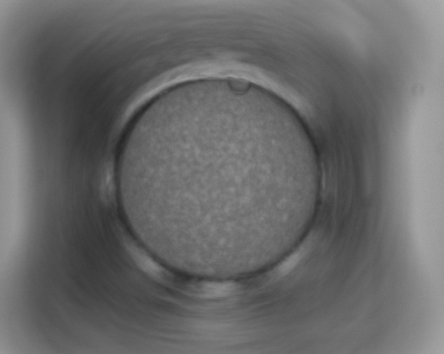 X0000113991498200910091327