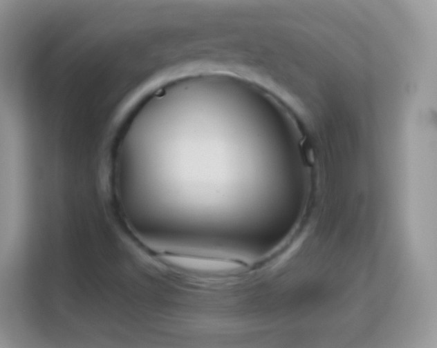 X0000113991502200910091327