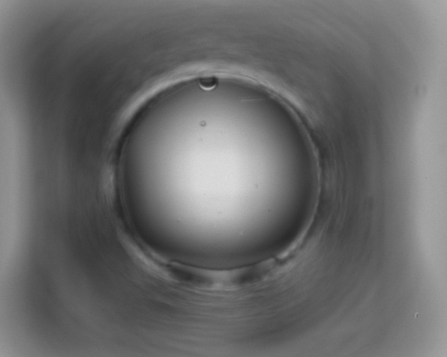 X0000113991503200910091327