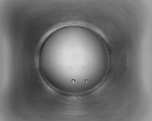 X0000113991504200910091327