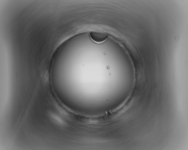 X0000113991505200910091328