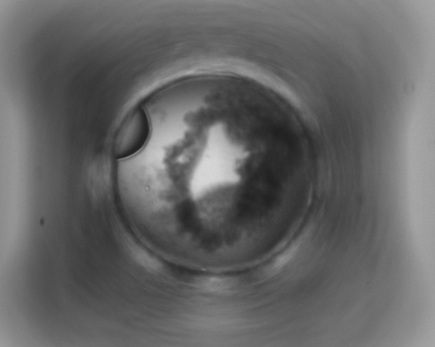 X0000113991506200910091328