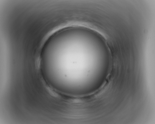 X0000113991507200910091328