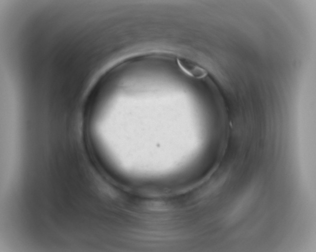 X0000113991508200910091328