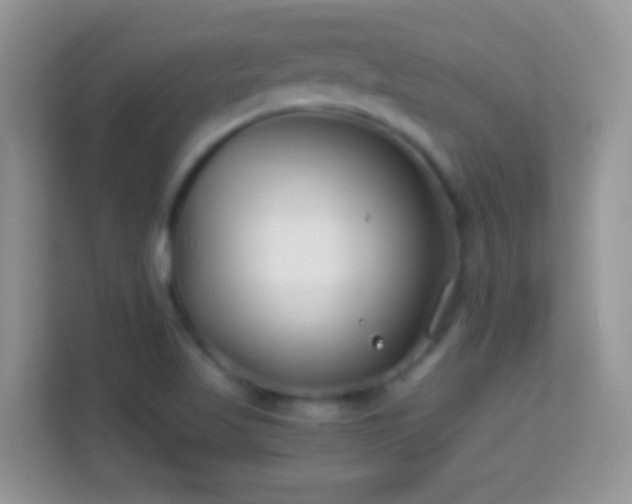 X0000113991509200910091328