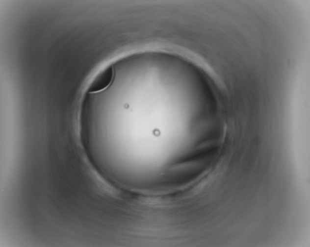 X0000113991512200910091328