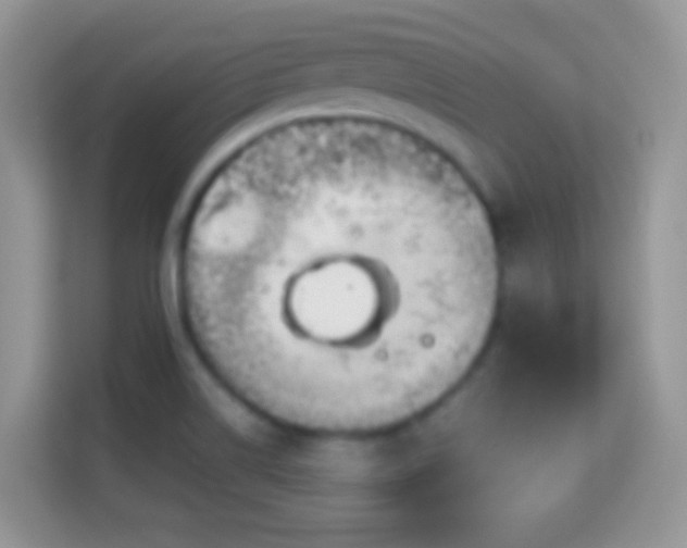 X0000113991514200910091328