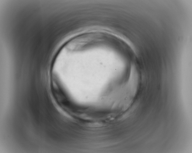 X0000113991515200910091328