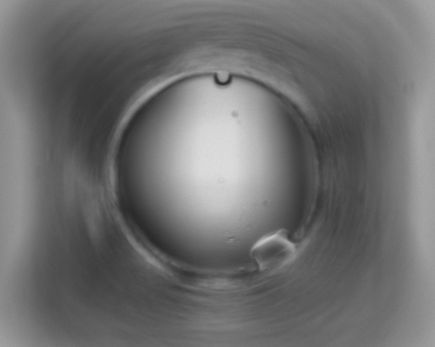 X0000113991517200910091328