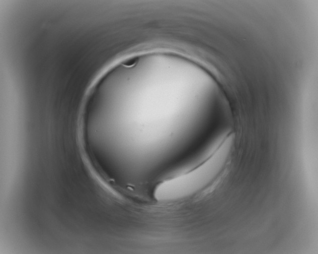 X0000113991518200910091328