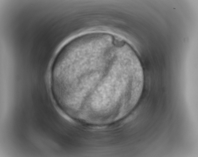 X0000113991519200910091328