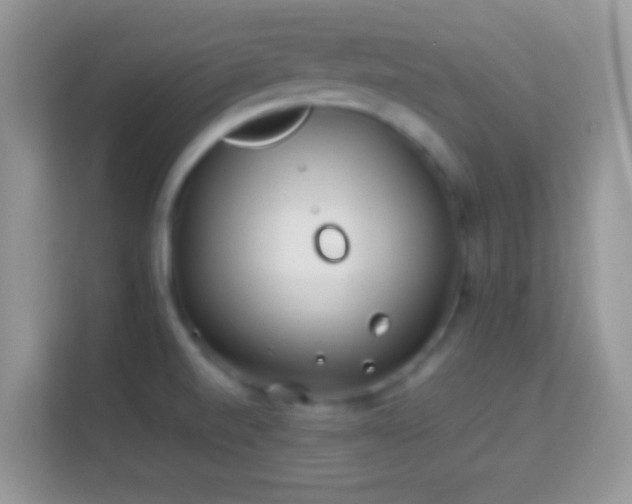 X0000113991520200910091328