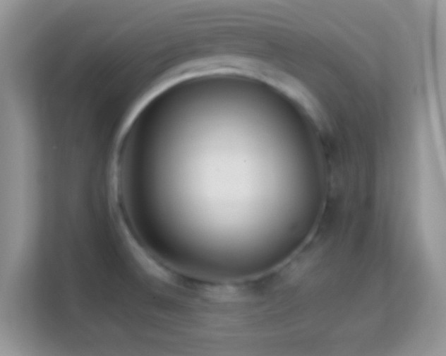 X0000113991524200910091328