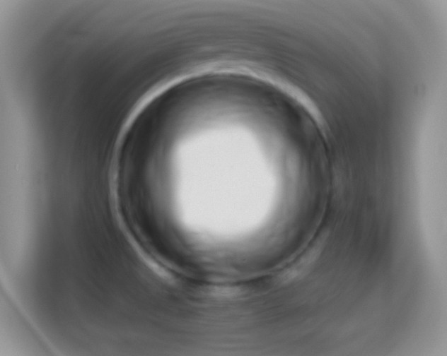 X0000113991525200910091328