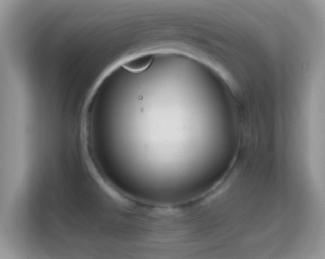 X0000113991526200910091328