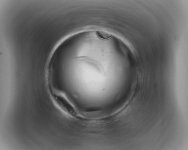 X0000113991527200910091328