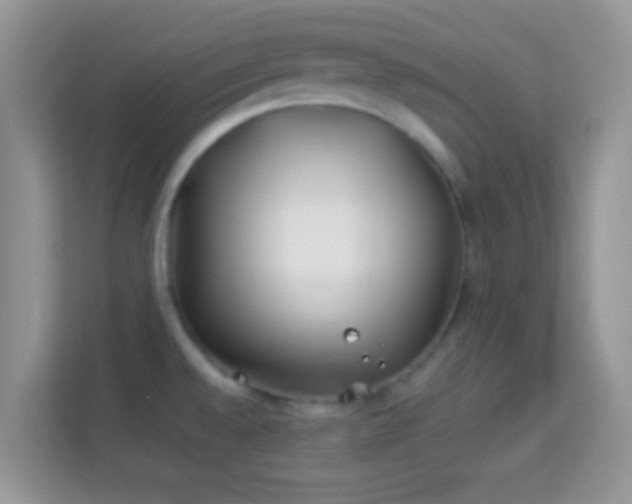 X0000113991528200910091328