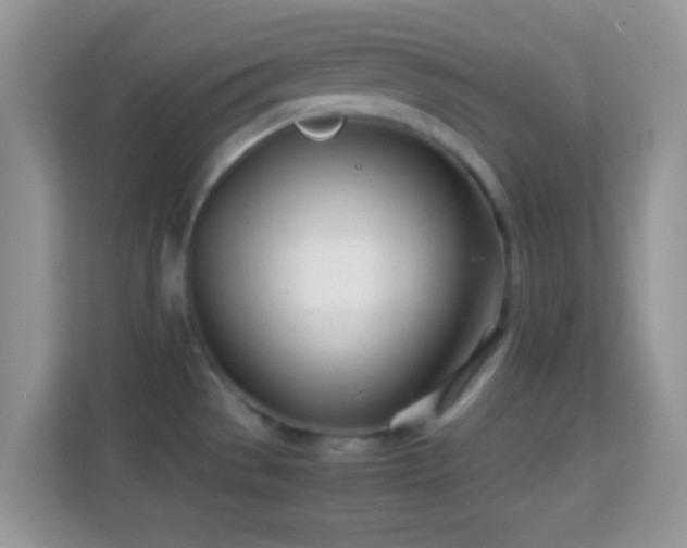 X0000113991529200910091328